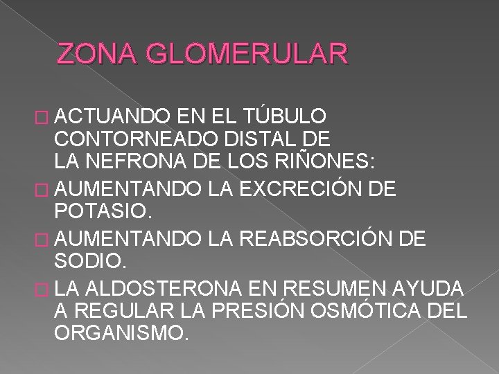 ZONA GLOMERULAR � ACTUANDO EN EL TÚBULO CONTORNEADO DISTAL DE LA NEFRONA DE LOS