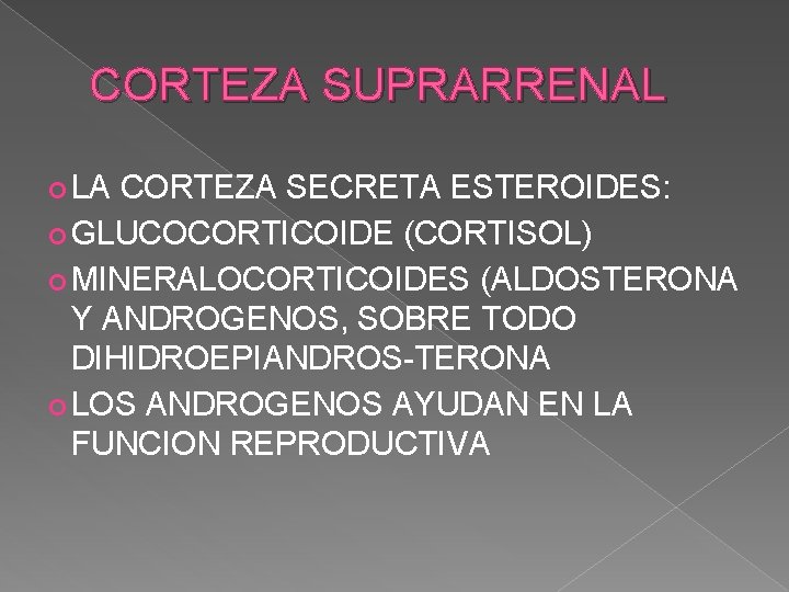 CORTEZA SUPRARRENAL LA CORTEZA SECRETA ESTEROIDES: GLUCOCORTICOIDE (CORTISOL) MINERALOCORTICOIDES (ALDOSTERONA Y ANDROGENOS, SOBRE TODO