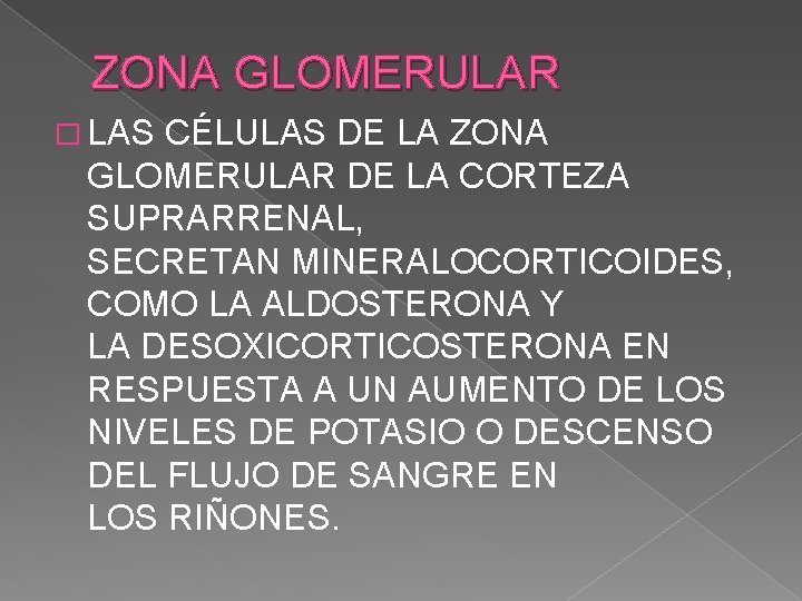 ZONA GLOMERULAR � LAS CÉLULAS DE LA ZONA GLOMERULAR DE LA CORTEZA SUPRARRENAL, SECRETAN