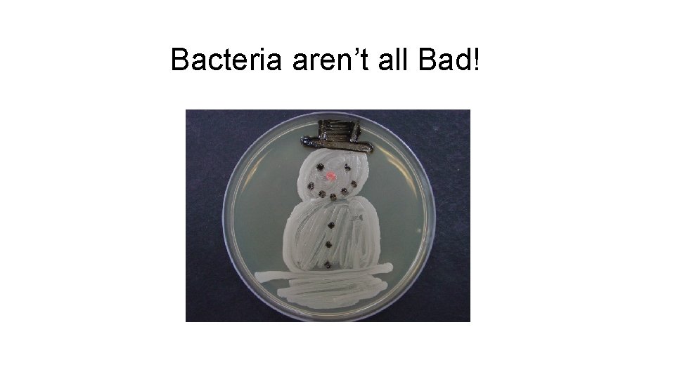 Bacteria aren’t all Bad! 