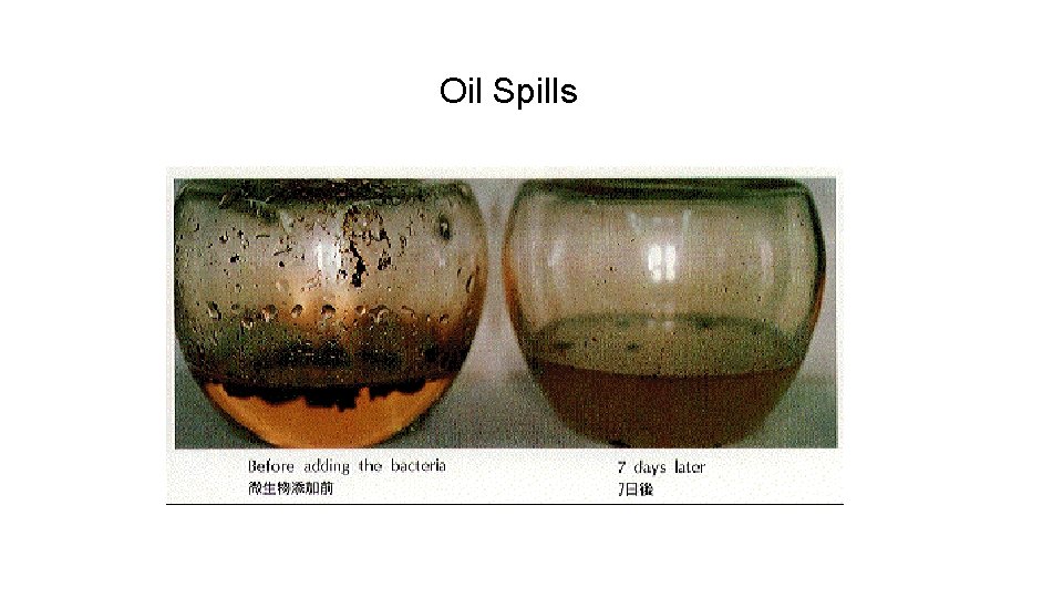 Oil Spills 