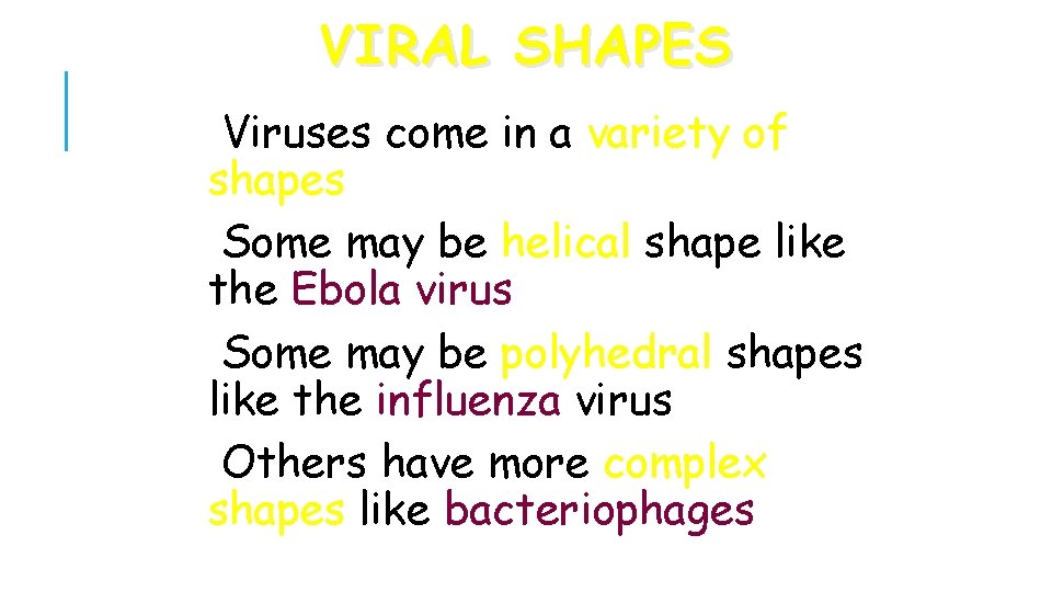 VIRAL SHAPES Viruses come in a variety of shapes Some may be helical shape