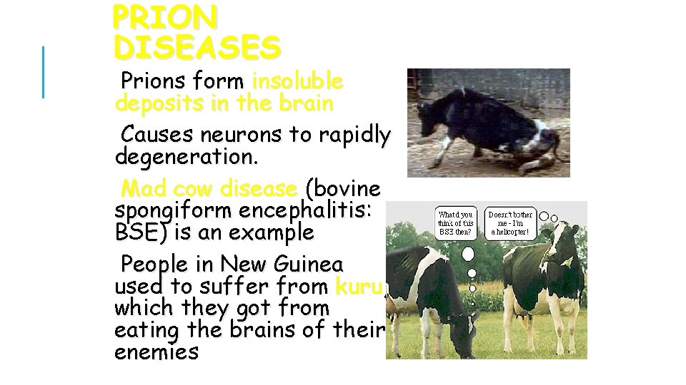 PRION DISEASES Prions form insoluble deposits in the brain Causes neurons to rapidly degeneration.