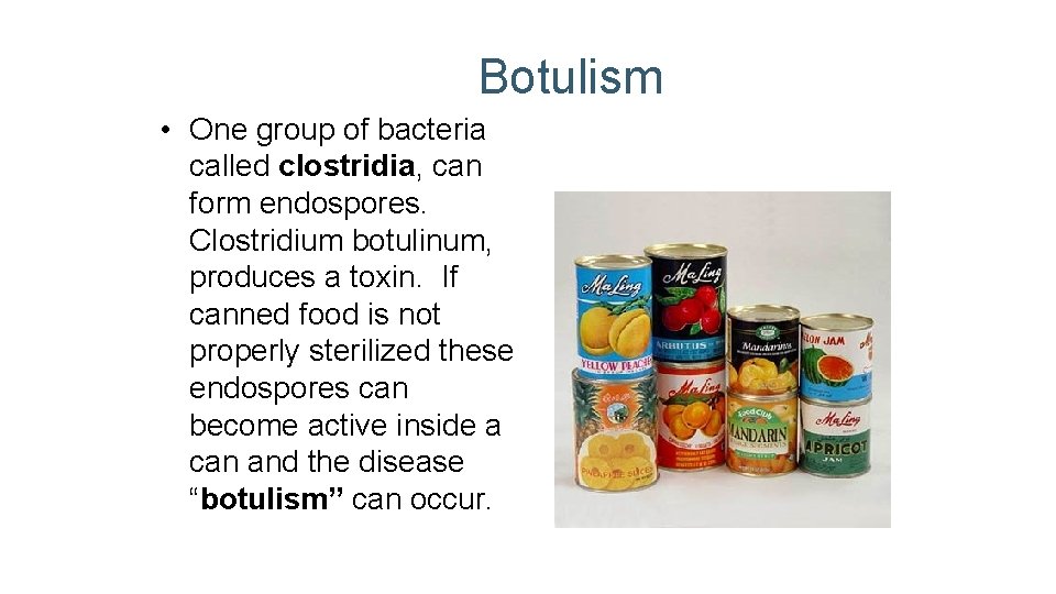 Botulism • One group of bacteria called clostridia, can form endospores. Clostridium botulinum, produces