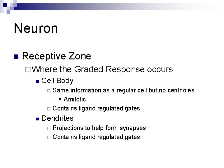 Neuron n Receptive Zone ¨ Where n the Graded Response occurs Cell Body Same