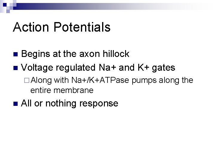Action Potentials Begins at the axon hillock n Voltage regulated Na+ and K+ gates