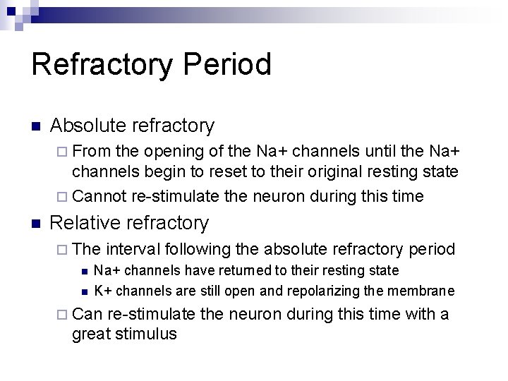 Refractory Period n Absolute refractory ¨ From the opening of the Na+ channels until