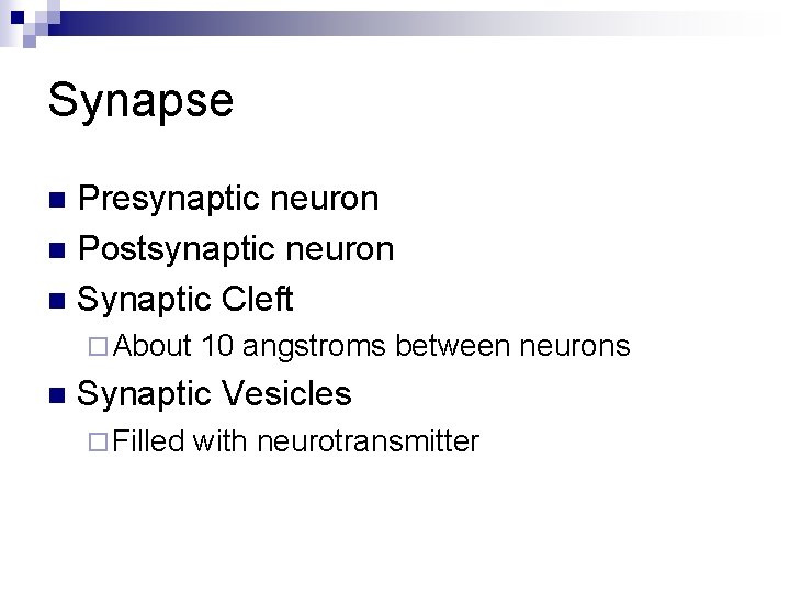 Synapse Presynaptic neuron n Postsynaptic neuron n Synaptic Cleft n ¨ About n 10
