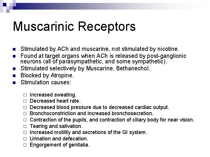 Muscarinic Receptors n n n Stimulated by ACh and muscarine, not stimulated by nicotine.