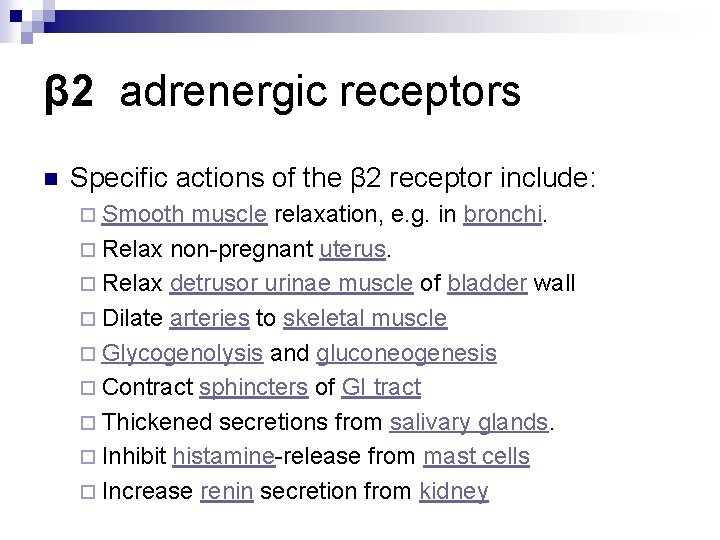 β 2 adrenergic receptors n Specific actions of the β 2 receptor include: ¨
