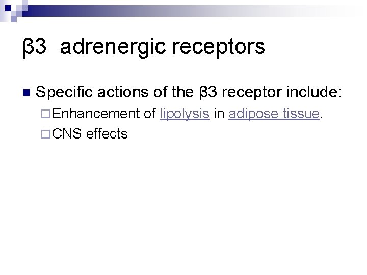β 3 adrenergic receptors n Specific actions of the β 3 receptor include: ¨
