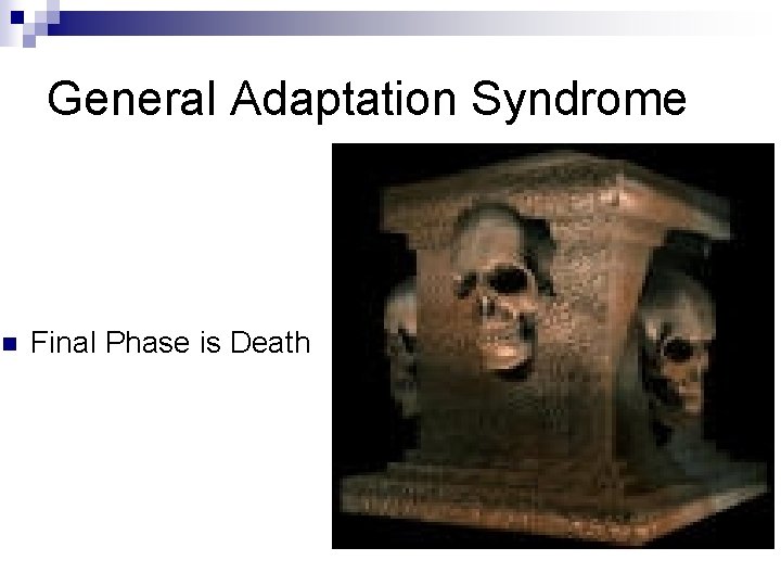 General Adaptation Syndrome n Final Phase is Death 