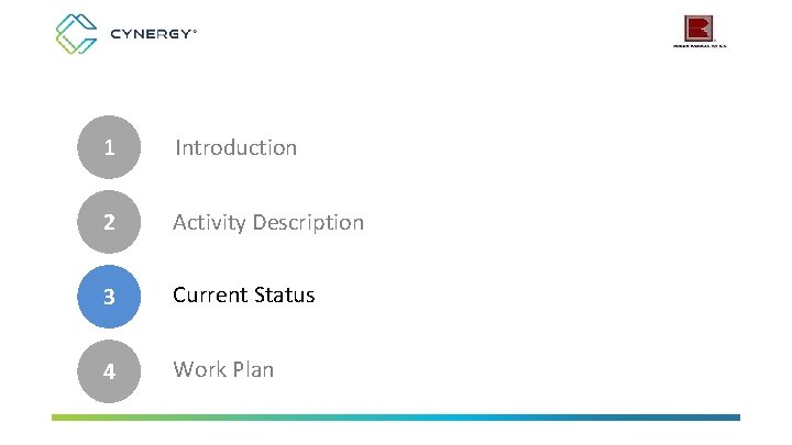 1 Introduction 2 Activity Description 3 Current Status 4 Work Plan 