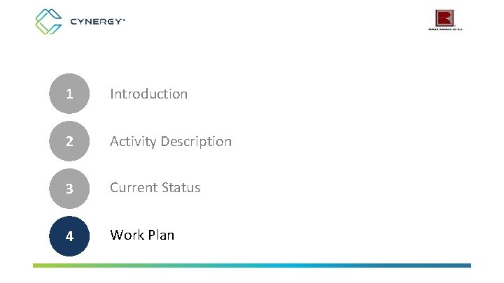 1 Introduction 2 Activity Description 3 Current Status 4 Work Plan 