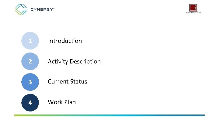 1 Introduction 2 Activity Description 3 Current Status 4 Work Plan 