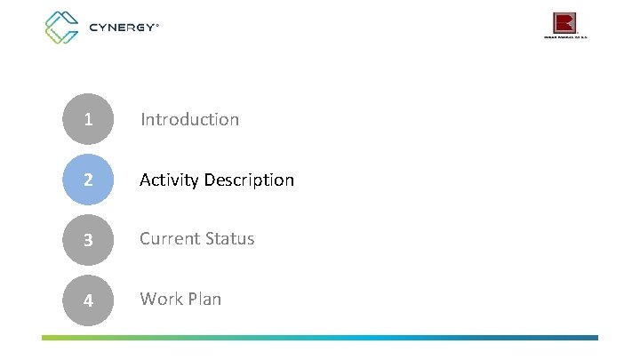 1 Introduction 2 Activity Description 3 Current Status 4 Work Plan 