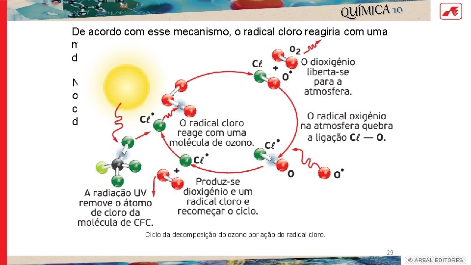 QUÍMICA 10 De acordo com esse mecanismo, o radical cloro reagiria com uma molécula
