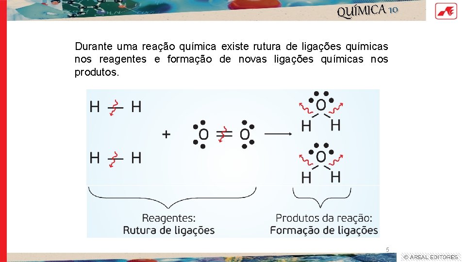QUÍMICA 10 Durante uma reação química existe rutura de ligações químicas nos reagentes e