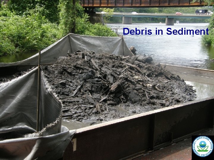 Debris in Sediment 