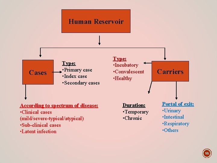 Human Reservoir Cases Type: • Primary case • Index case • Secondary cases According