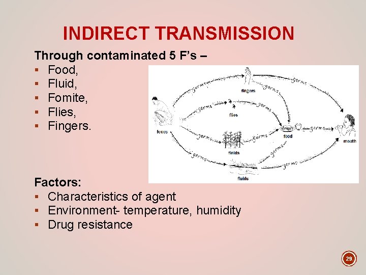 INDIRECT TRANSMISSION Through contaminated 5 F’s – § Food, § Fluid, § Fomite, §