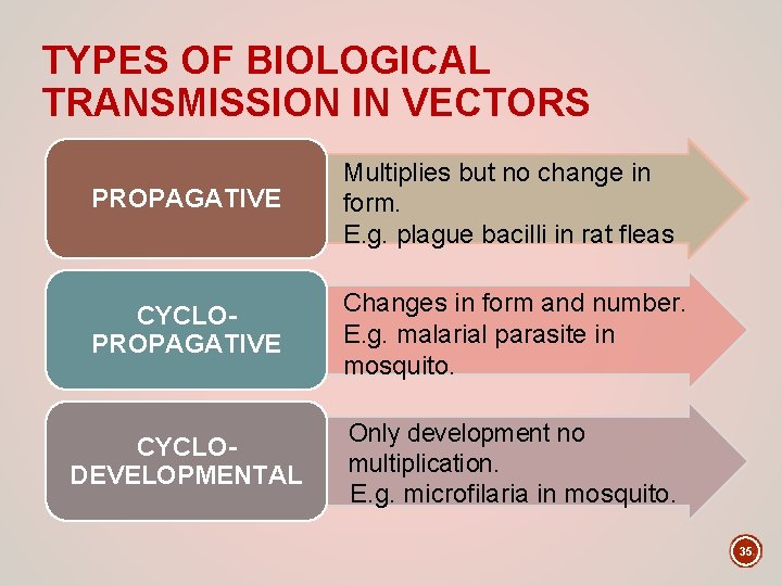 TYPES OF BIOLOGICAL TRANSMISSION IN VECTORS PROPAGATIVE Multiplies but no change in form. E.