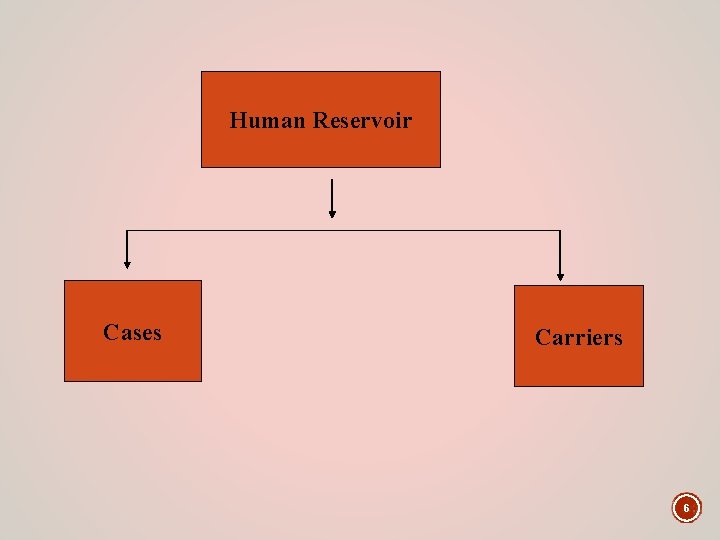 Human Reservoir Cases Carriers 6 