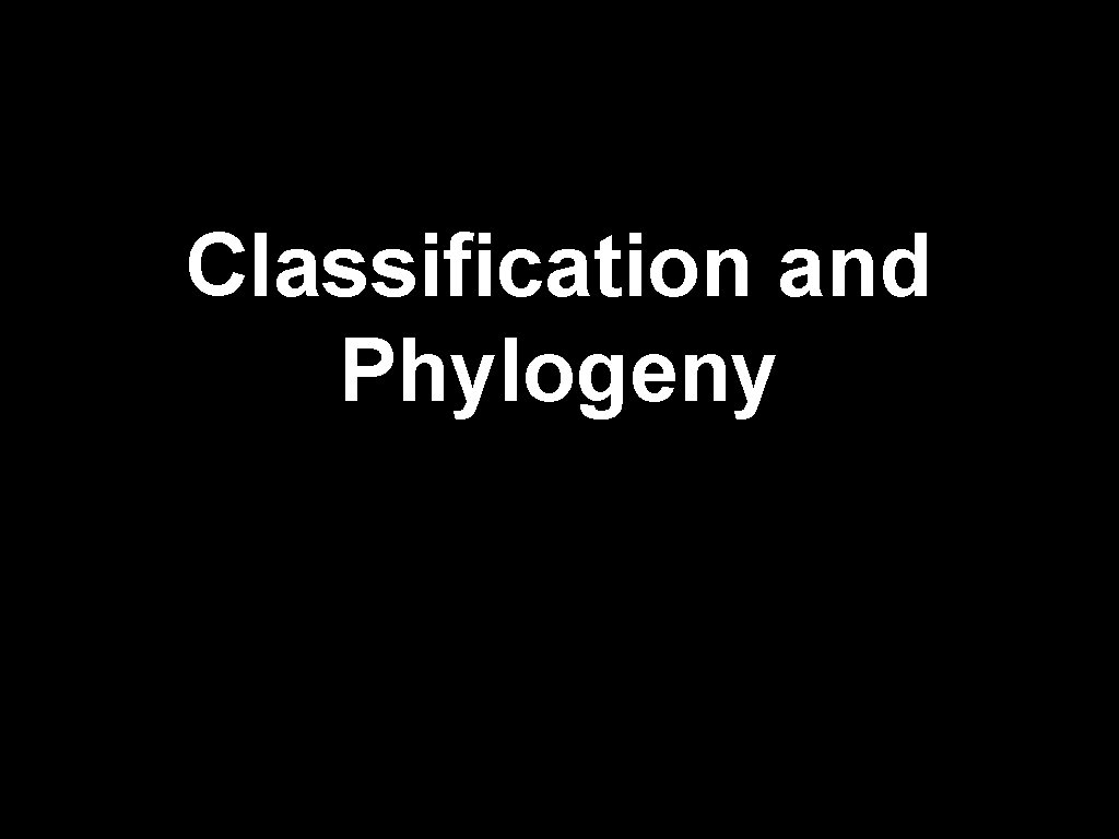 Classification and Phylogeny 