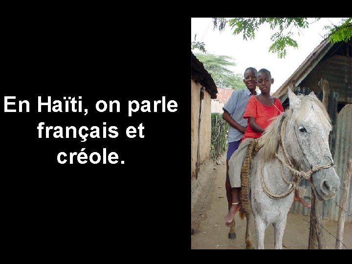 En Haïti, on parle français et créole. 