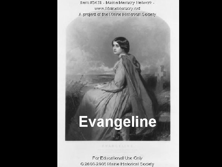 Evangeline 