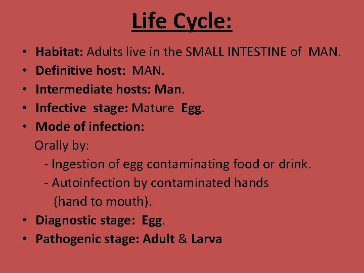 Life Cycle: Habitat: Adults live in the SMALL INTESTINE of MAN. Definitive host: MAN.