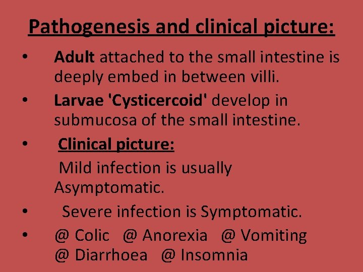 Pathogenesis and clinical picture: • • • Adult attached to the small intestine is