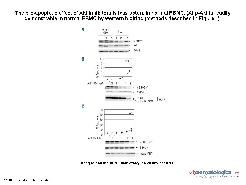 The pro-apoptotic effect of Akt inhibitors is less potent in normal PBMC. (A) p-Akt