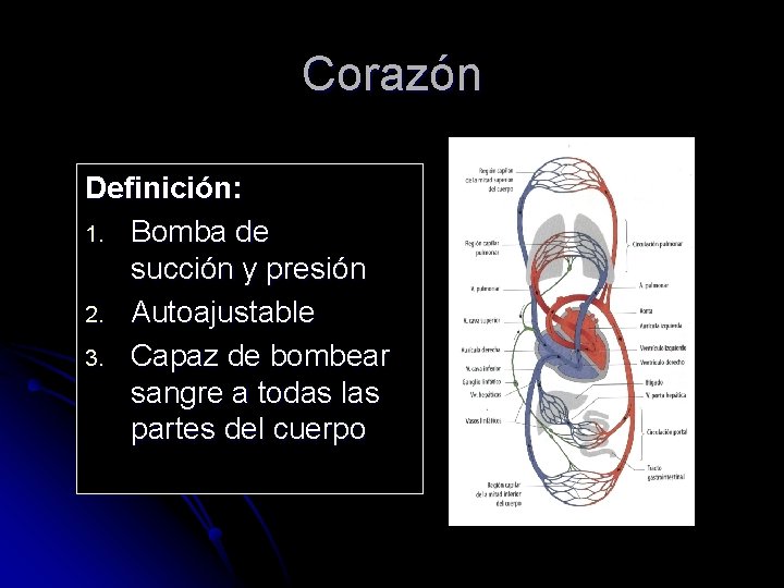 Corazón Definición: 1. Bomba de succión y presión 2. Autoajustable 3. Capaz de bombear