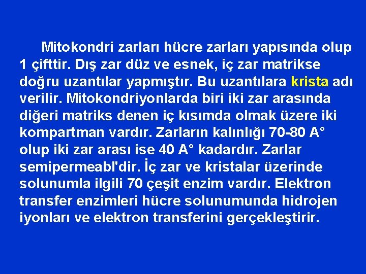 Mitokondri zarları hücre zarları yapısında olup 1 çifttir. Dış zar düz ve esnek, iç