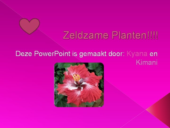 Zeldzame Planten!!!! Deze Power. Point is gemaakt door: Kyana en Kimani 