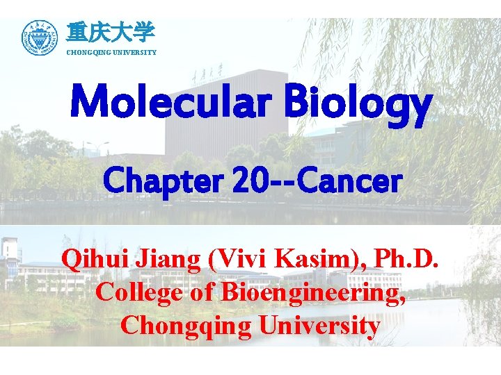 重庆大学 CHONGQING UNIVERSITY Molecular Biology Chapter 20 --Cancer Qihui Jiang (Vivi Kasim), Ph. D.