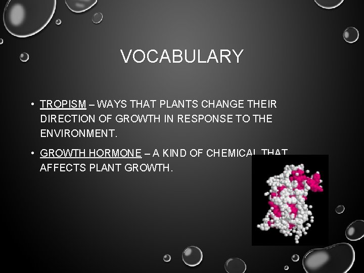 VOCABULARY • TROPISM – WAYS THAT PLANTS CHANGE THEIR DIRECTION OF GROWTH IN RESPONSE VOCABULARY • TROPISM – WAYS THAT PLANTS CHANGE THEIR DIRECTION OF GROWTH IN RESPONSE