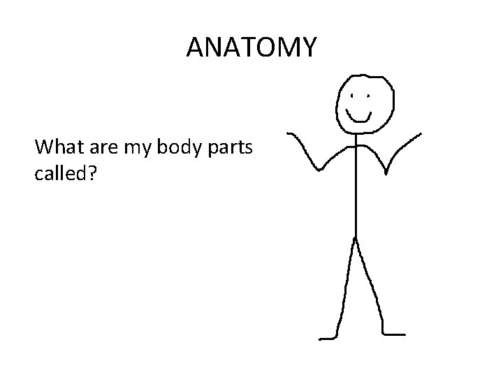 ANATOMY What are my body parts called? 
