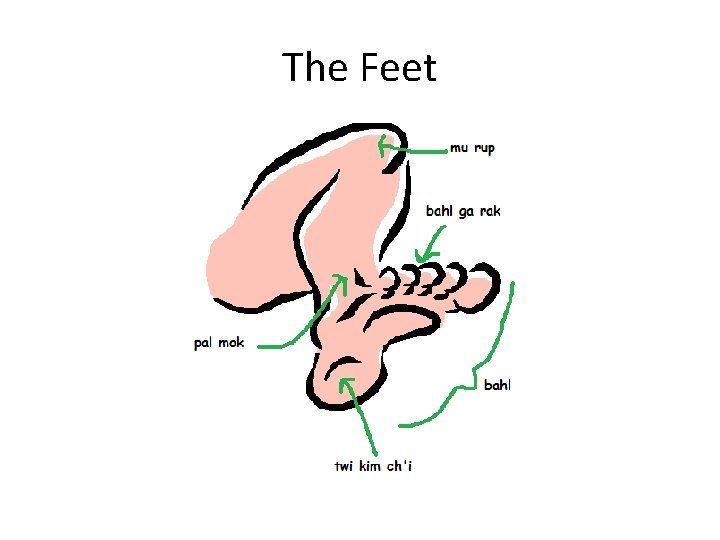 The Feet 