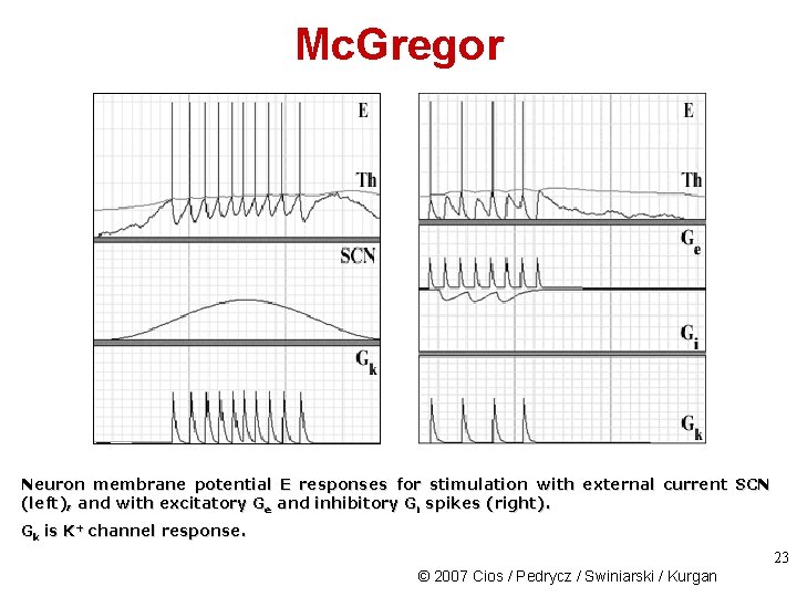 Mc. Gregor Neuron membrane potential E responses for stimulation with external current SCN (left),