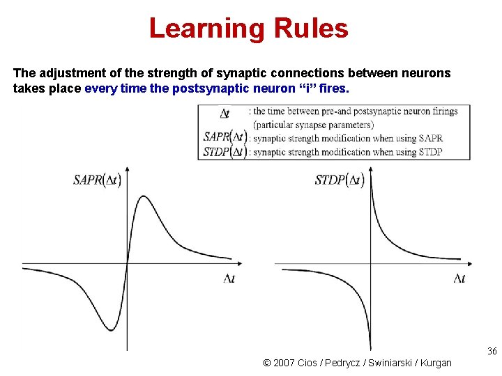 Learning Rules The adjustment of the strength of synaptic connections between neurons takes place