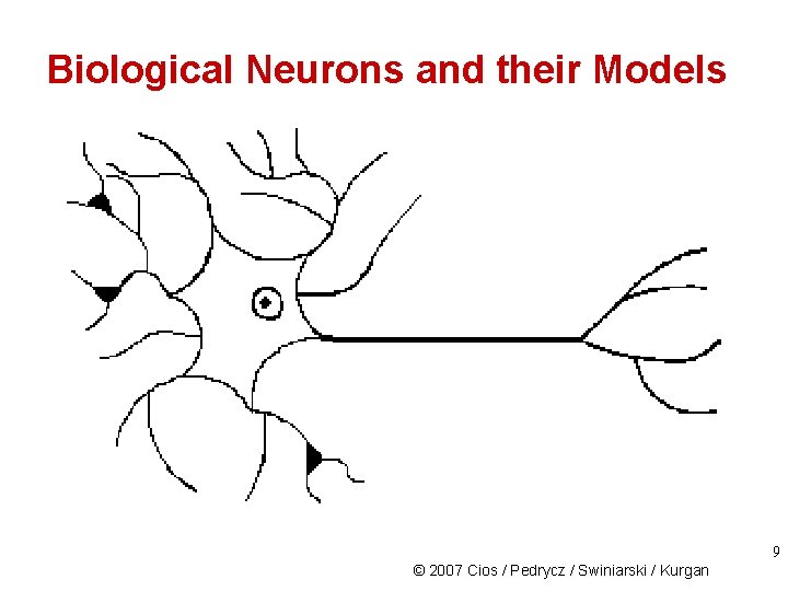 Biological Neurons and their Models 9 © 2007 Cios / Pedrycz / Swiniarski /