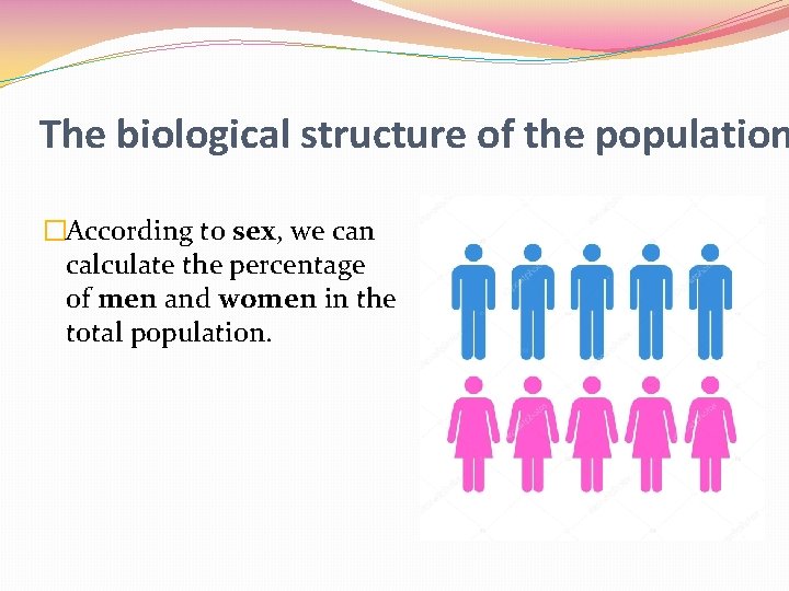 The biological structure of the population �According to sex, we can calculate the percentage