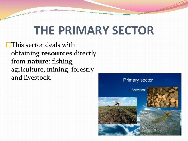 THE PRIMARY SECTOR �This sector deals with obtaining resources directly from nature: fishing, agriculture,