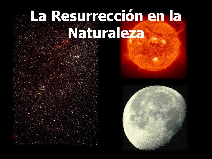 La Resurrección en la Naturaleza 