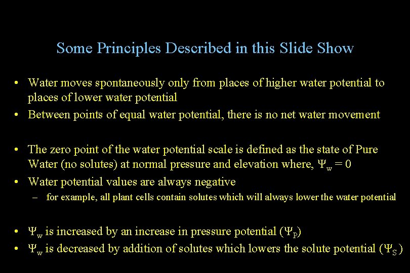 Some Principles Described in this Slide Show • Water moves spontaneously only from places Some Principles Described in this Slide Show • Water moves spontaneously only from places