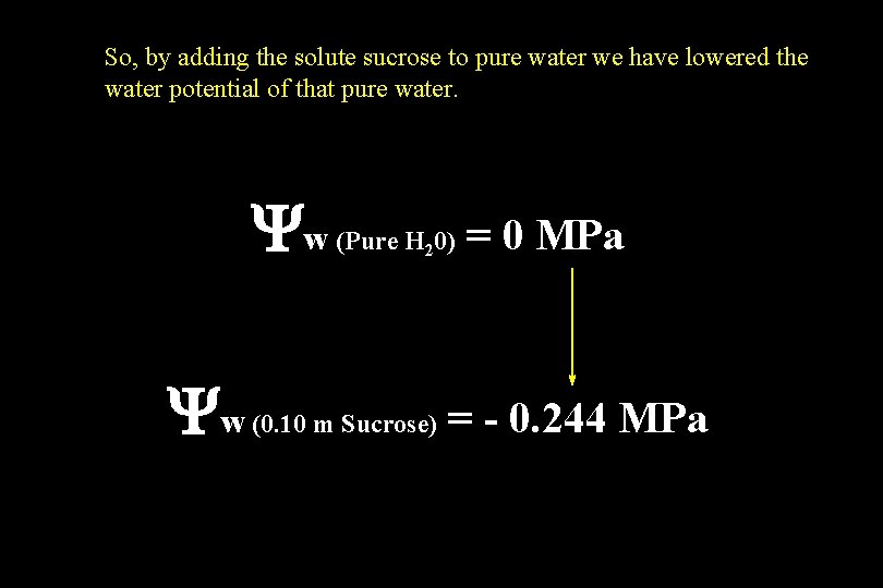So, by adding the solute sucrose to pure water we have lowered the water So, by adding the solute sucrose to pure water we have lowered the water