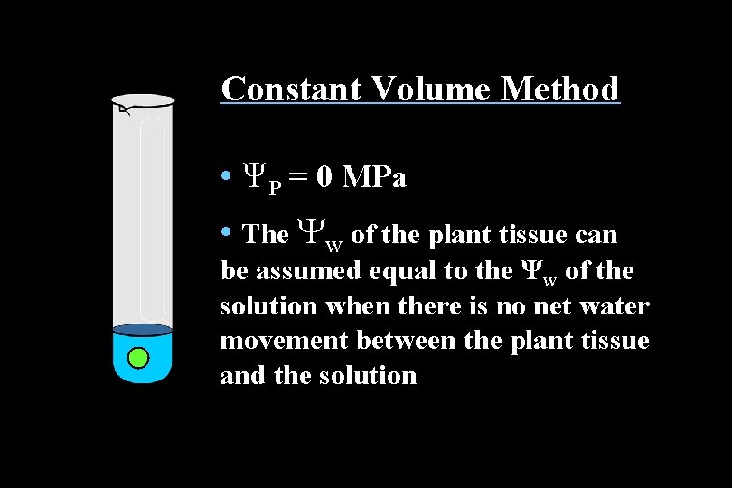Constant Volume Method • ΨP = 0 MPa • The Yw of the plant Constant Volume Method • ΨP = 0 MPa • The Yw of the plant
