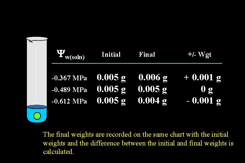 Yw(soln) Initial -0. 367 MPa 0. 005 g -0. 489 MPa -0. 612 MPa Yw(soln) Initial -0. 367 MPa 0. 005 g -0. 489 MPa -0. 612 MPa